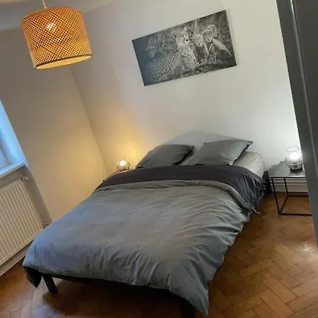 דירה Chez Ange מרקולשהיים